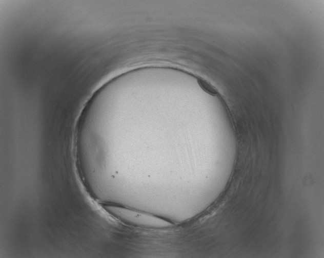 X0000073981526200609181703