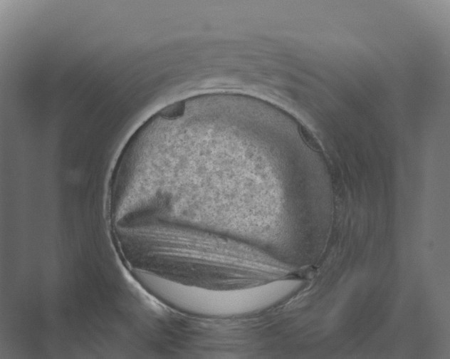 X0000073981527200609181703