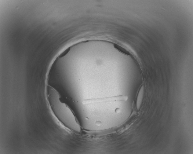 X0000073981528200609181703