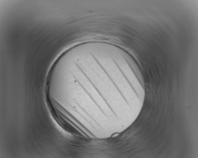 X0000073981531200609181703