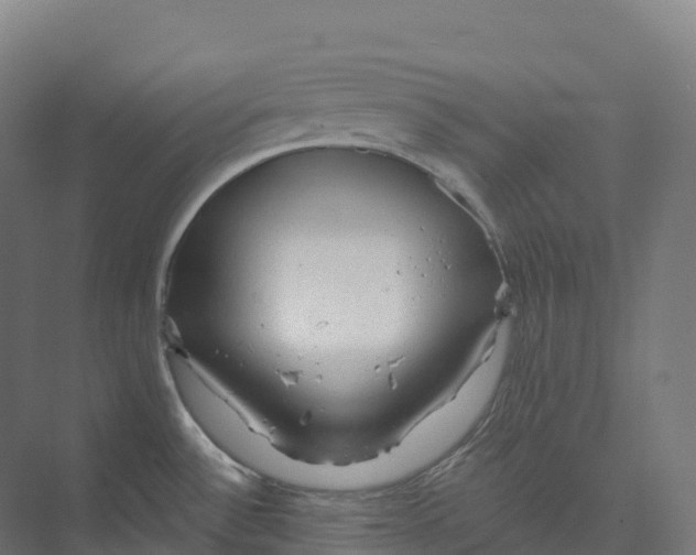 X0000073981532200609181703