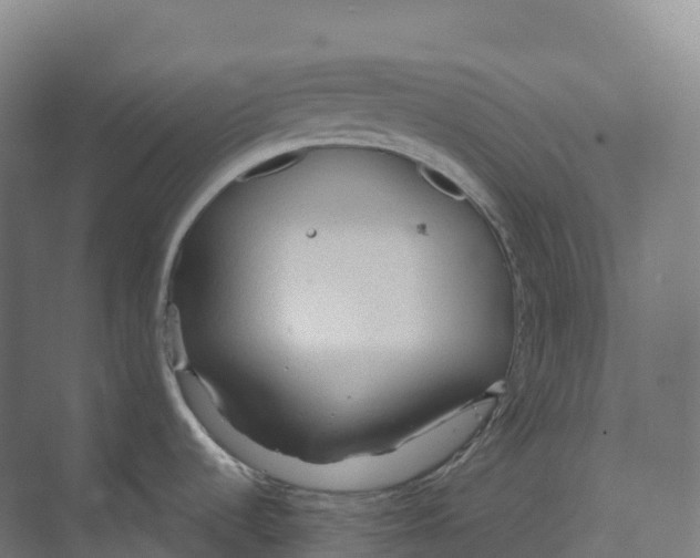 X0000073981536200609181703