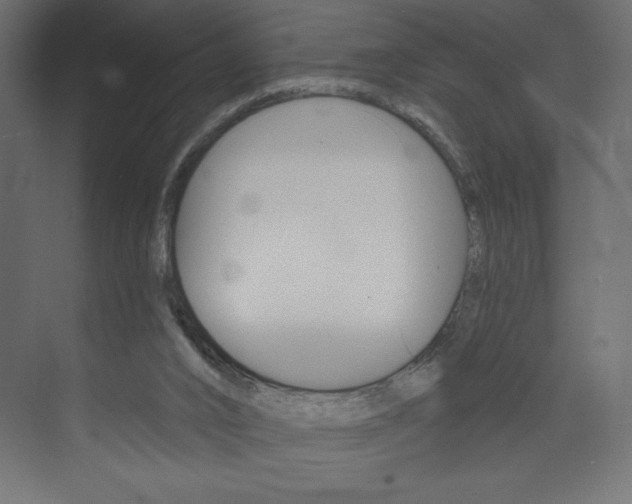 X0000073990016200608211054