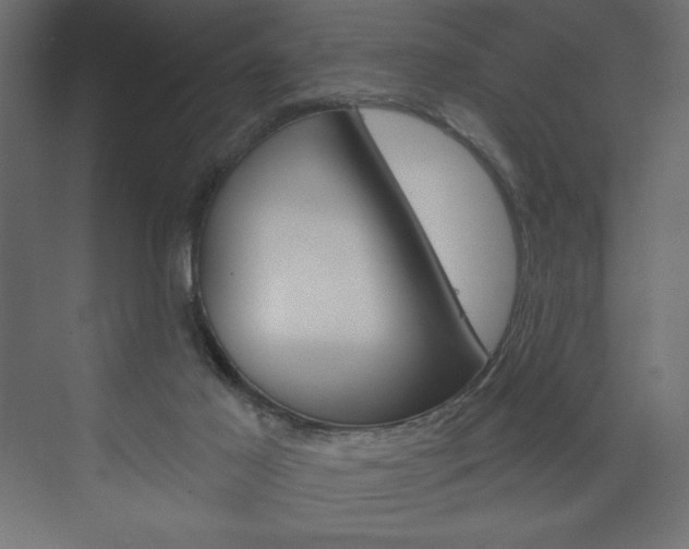 X0000073990021200608211053