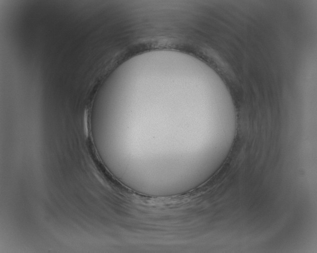 X0000073990022200608211053