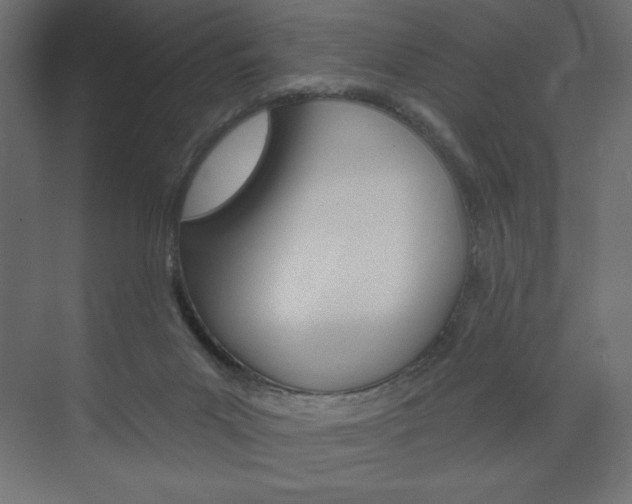 X0000073990023200608211053