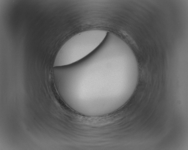 X0000073990026200608211053