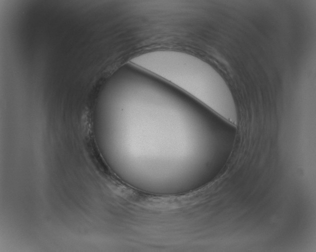 X0000073990029200608211053