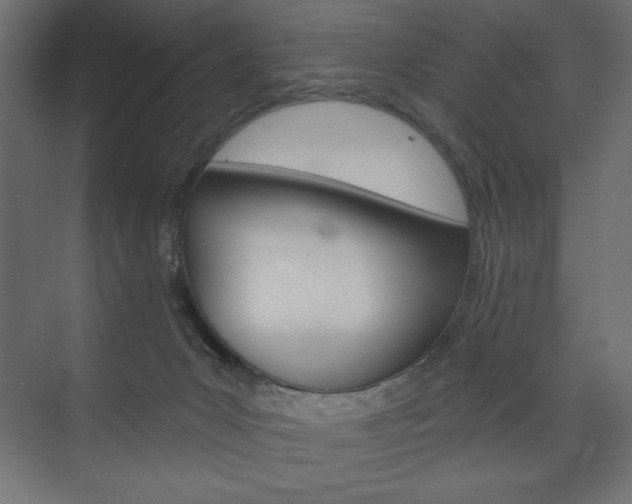 X0000073990031200608211053