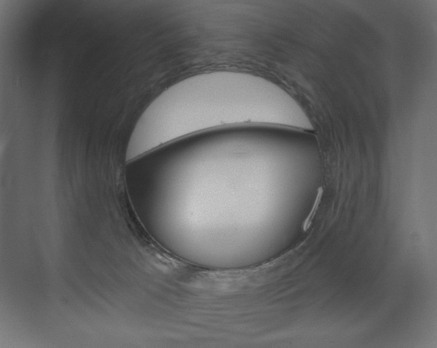 X0000073990033200608211053