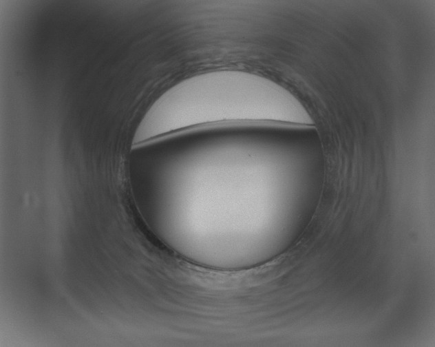 X0000073990035200608211053