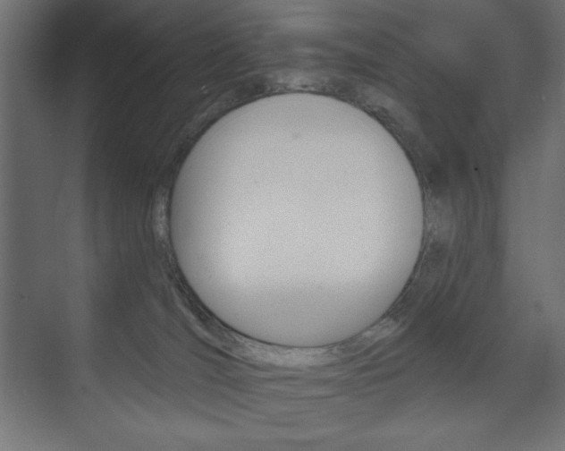 X0000073990036200608211053