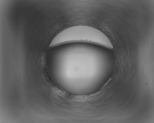 X0000073990037200608211053