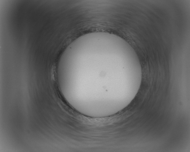 X0000073990038200608211053