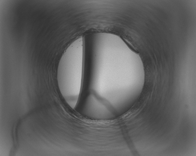 X0000073990040200608211053