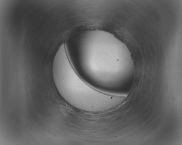 X0000073990041200608211053