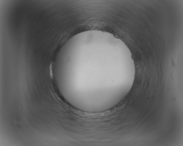 X0000073990042200608211053