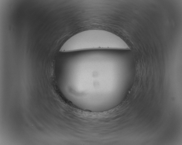 X0000073990043200608211053