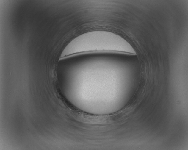 X0000073990044200608211053