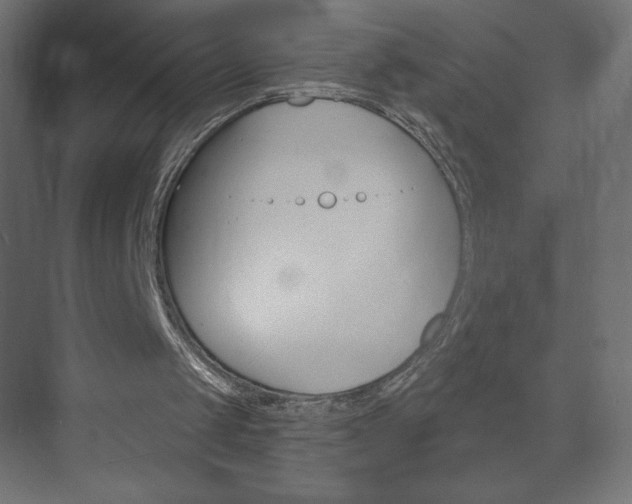 X0000073990049200608211052