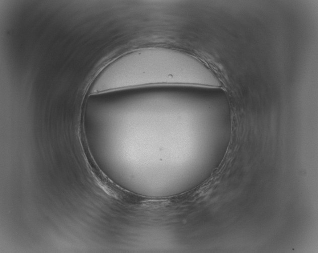 X0000073990051200608211052