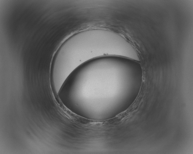 X0000073990052200608211052