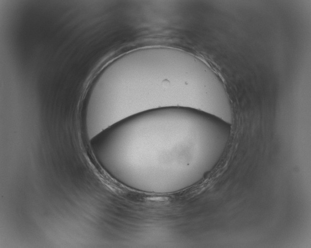 X0000073990053200608211052