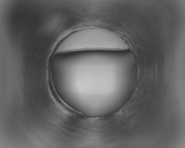 X0000073990054200608211052