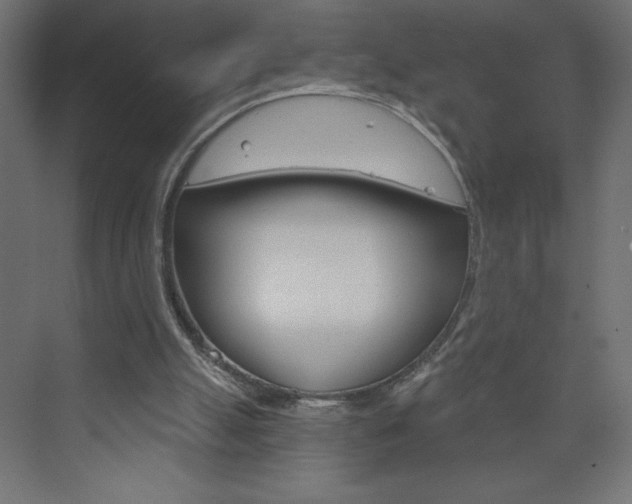 X0000073990055200608211052