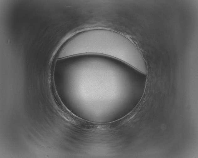 X0000073990056200608211052