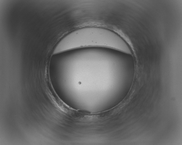 X0000073990057200608211052