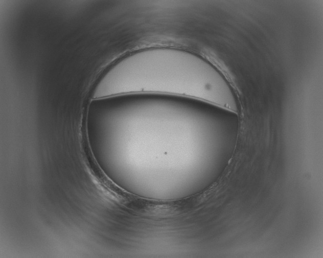 X0000073990058200608211052