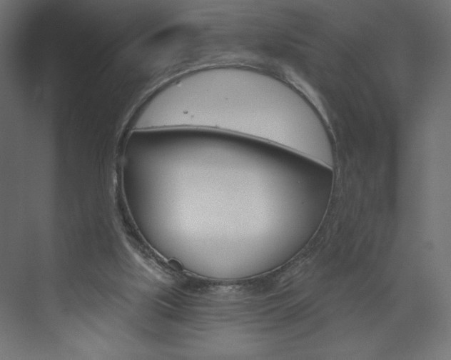 X0000073990059200608211052