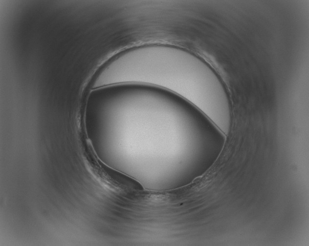 X0000073990060200608211052