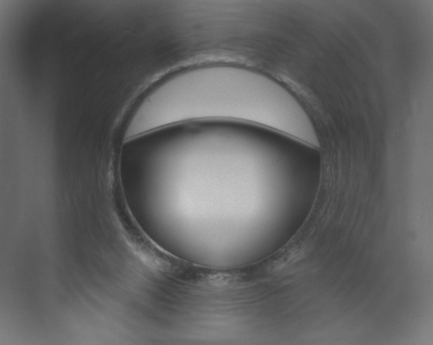 X0000073990064200608211052