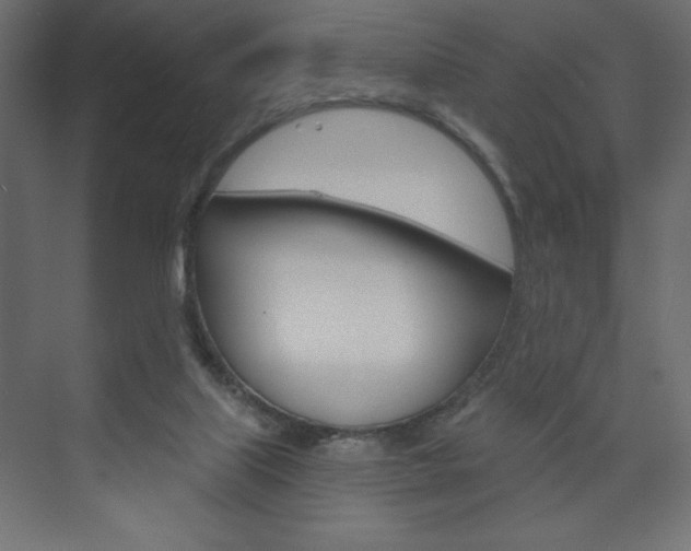 X0000073990067200608211052