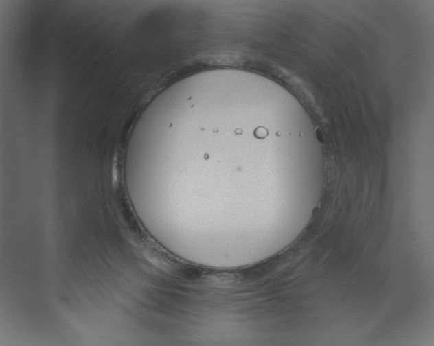 X0000073990069200608211053