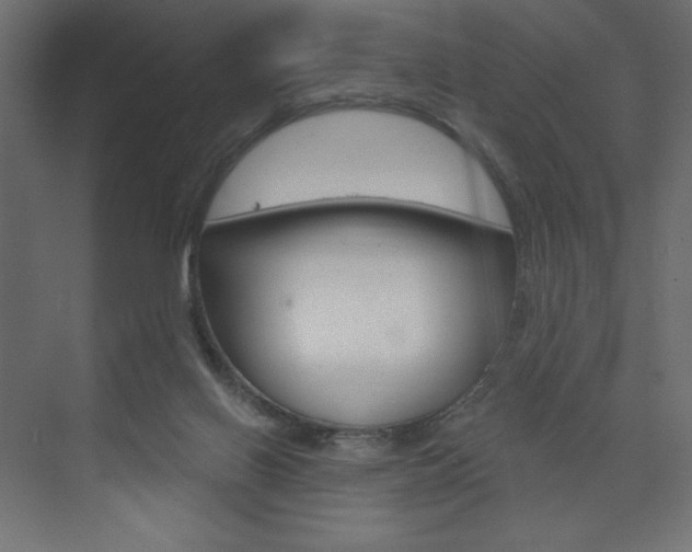 X0000073990070200608211053