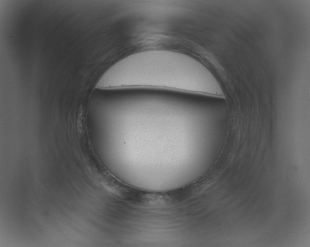 X0000073990073200608211053