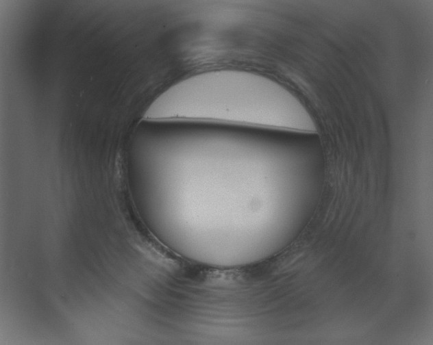 X0000073990077200608211053