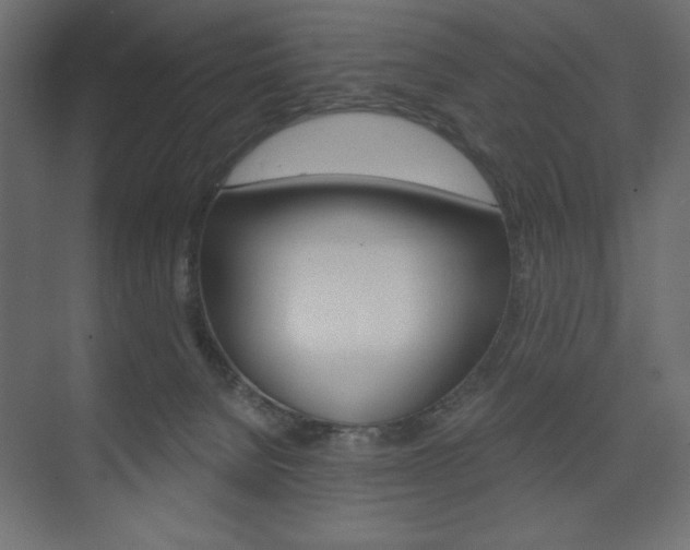 X0000073990080200608211053