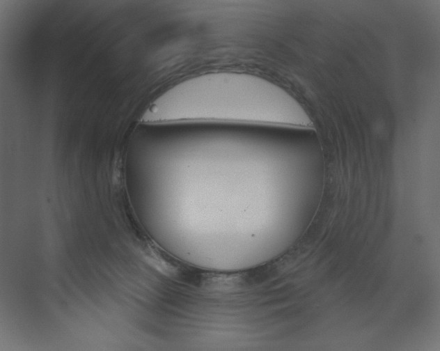 X0000073990081200608211053