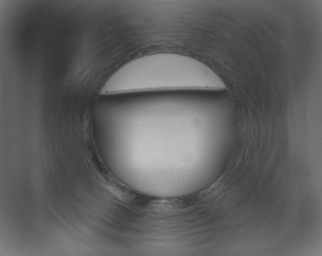 X0000073990082200608211053