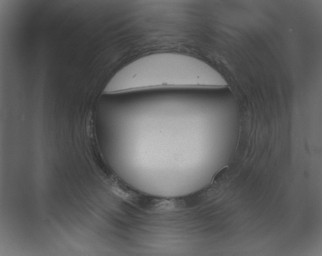 X0000073990083200608211053