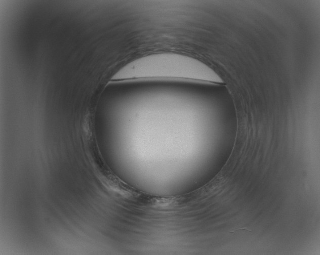 X0000073990088200608211053