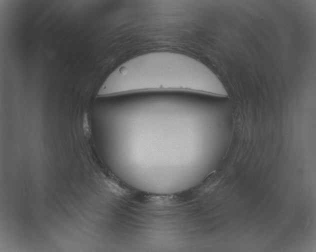 X0000073990089200608211053