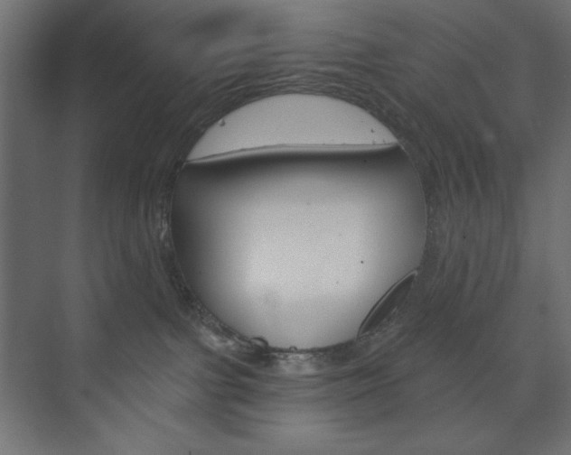 X0000073990091200608211053