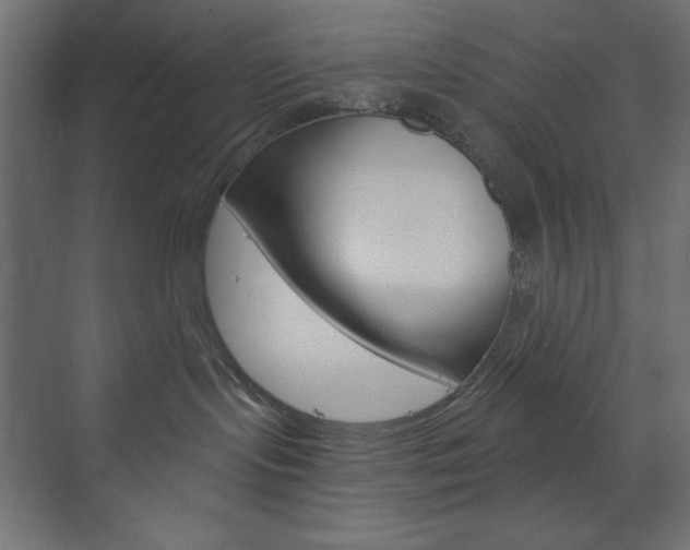 X0000073990095200608211053