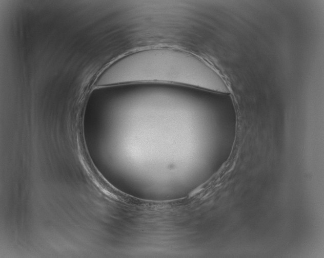 X0000073990097200608211052