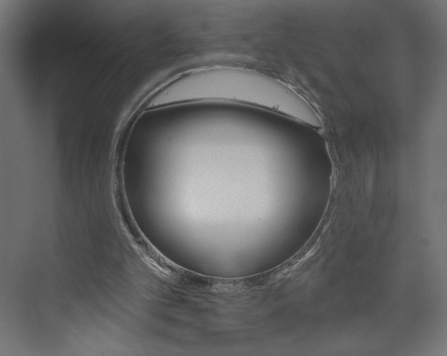 X0000073990101200608211052